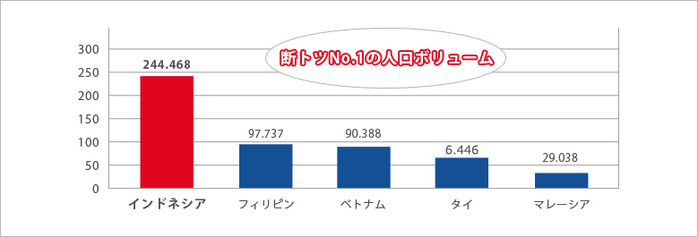 ASEAN最大の消費マーケット