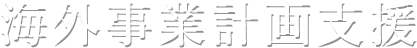 海外事業計画支援